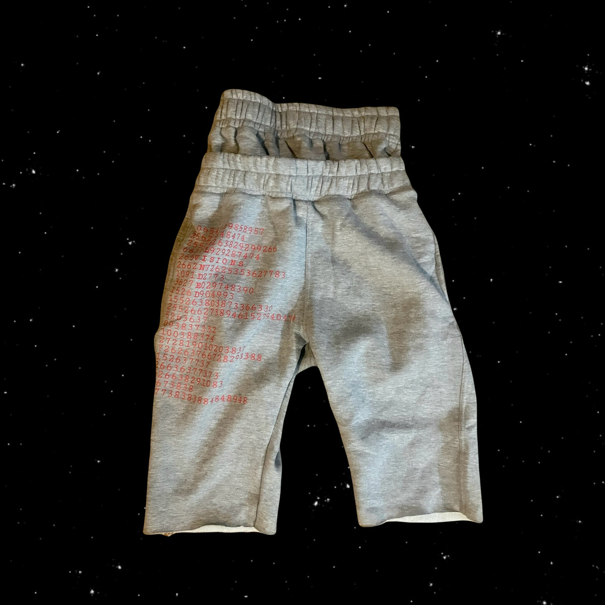 Double Waist Visionary Bloxorz Shorts