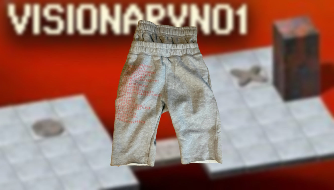 Double Waist Visionary Bloxorz Shorts