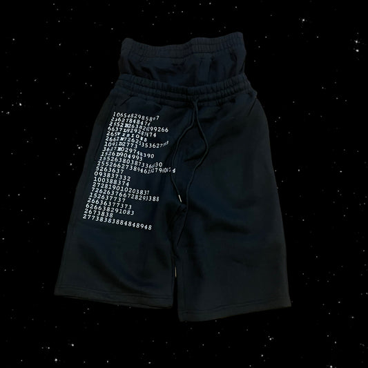 Double Waist Visionary Flip Palace Shorts