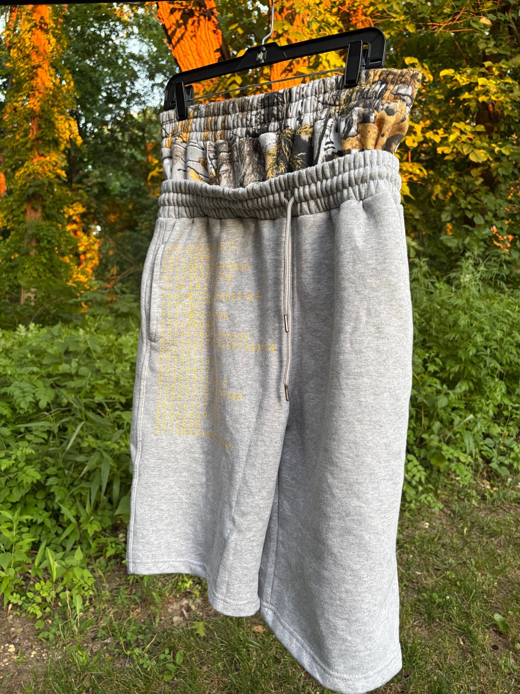 Visionary sweatshorts